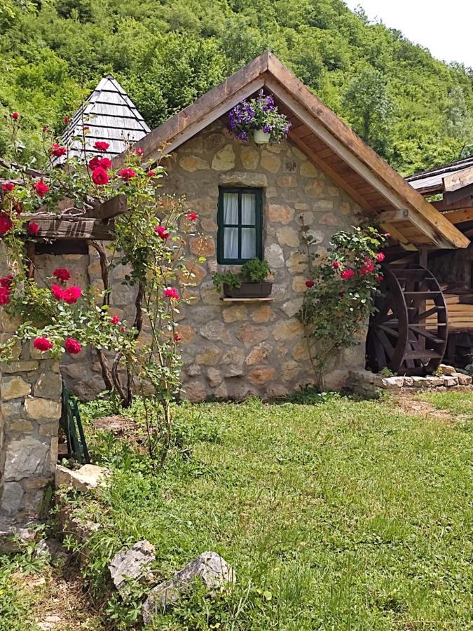 Rafting Camp Tara Center Tri Vodenice Bastasi Εξωτερικό φωτογραφία