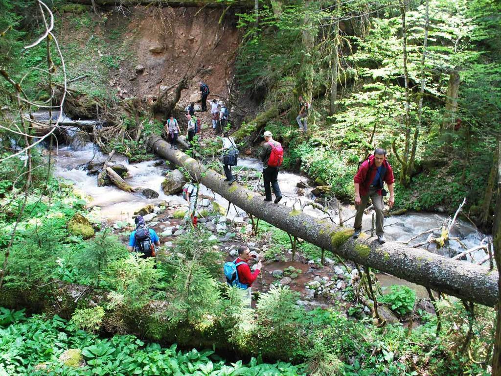 Rafting Camp Tara Center Tri Vodenice Bastasi Εξωτερικό φωτογραφία
